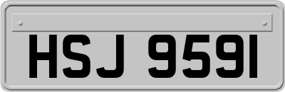HSJ9591