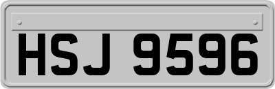 HSJ9596