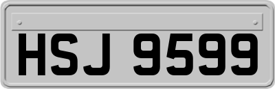 HSJ9599