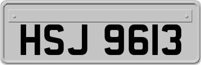 HSJ9613