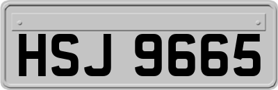 HSJ9665