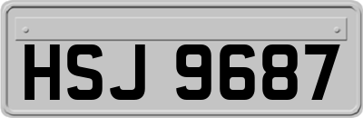 HSJ9687