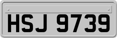 HSJ9739