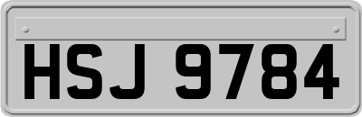 HSJ9784