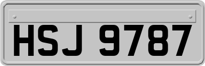HSJ9787