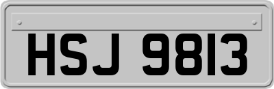 HSJ9813