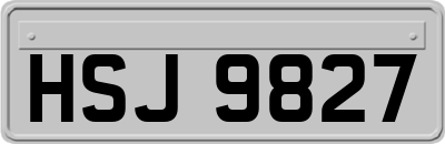 HSJ9827
