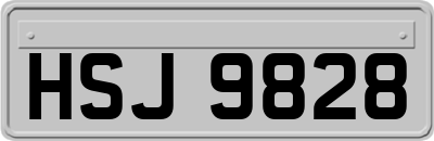 HSJ9828