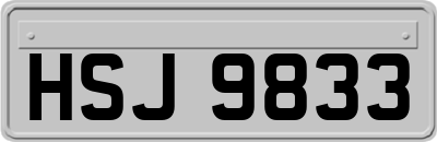 HSJ9833