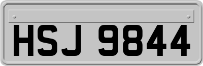 HSJ9844