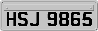 HSJ9865