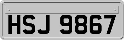 HSJ9867