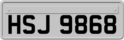 HSJ9868