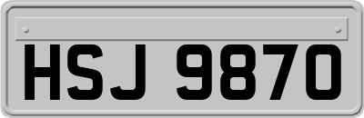 HSJ9870