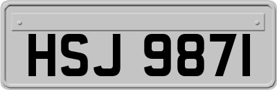 HSJ9871