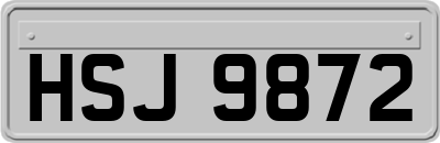 HSJ9872