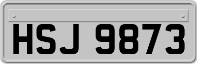 HSJ9873
