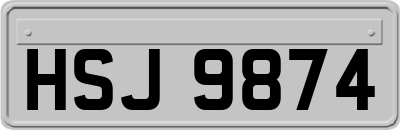 HSJ9874