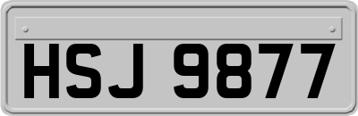 HSJ9877