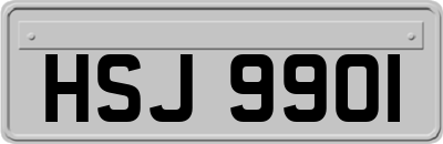 HSJ9901