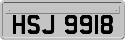 HSJ9918