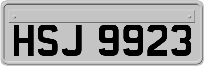 HSJ9923