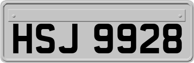 HSJ9928