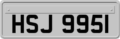 HSJ9951