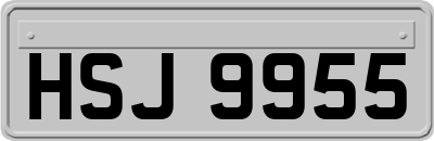 HSJ9955