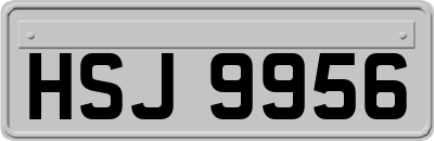 HSJ9956
