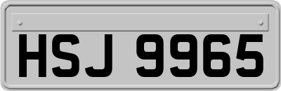HSJ9965