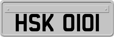 HSK0101