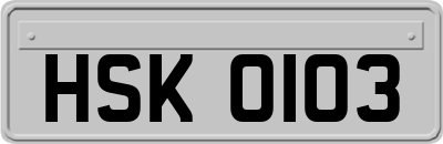 HSK0103
