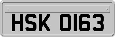 HSK0163