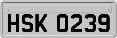 HSK0239