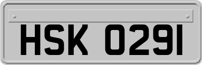 HSK0291