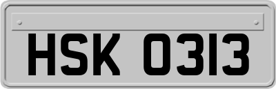 HSK0313