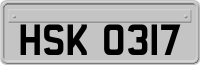 HSK0317