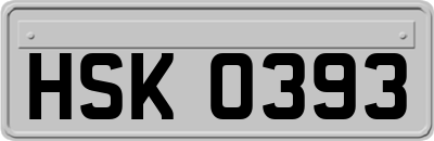 HSK0393
