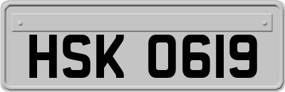 HSK0619