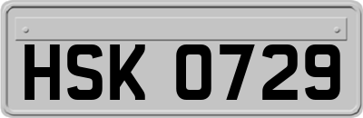HSK0729