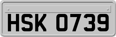 HSK0739