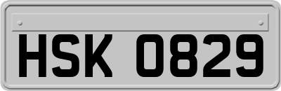 HSK0829