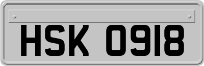HSK0918