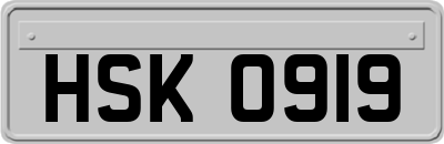 HSK0919