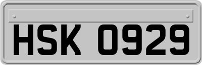 HSK0929