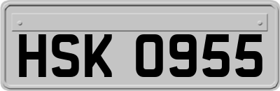 HSK0955
