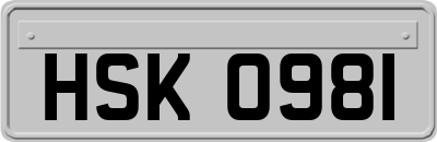 HSK0981