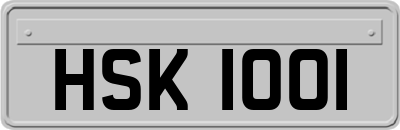 HSK1001