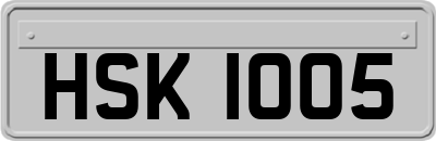 HSK1005